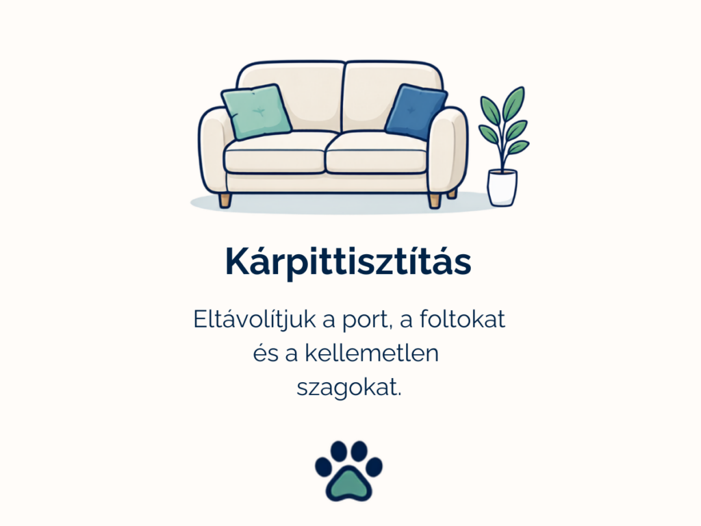 Kárpittisztítás Pécsen – kanapék, fotelek és szőnyegek tisztítása